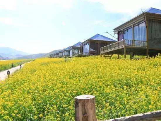 園林綠化栽植之後要開展什麽養護措施？