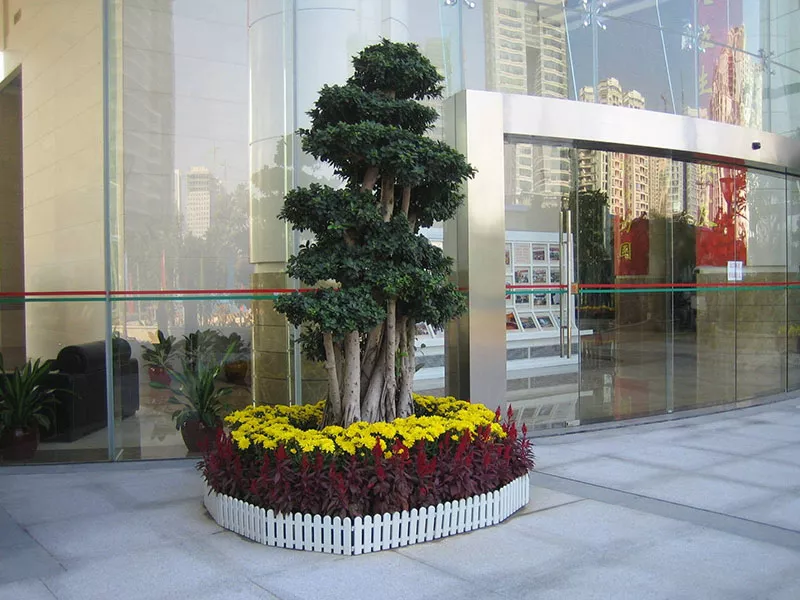 廣州綠植租擺支付費用以後就不需要護理瞭嗎？