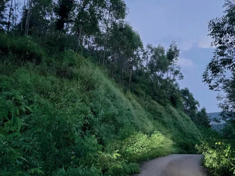 華潤廣東佛岡福鑫風電(diàn)場(chǎng)項目植被恢複工程