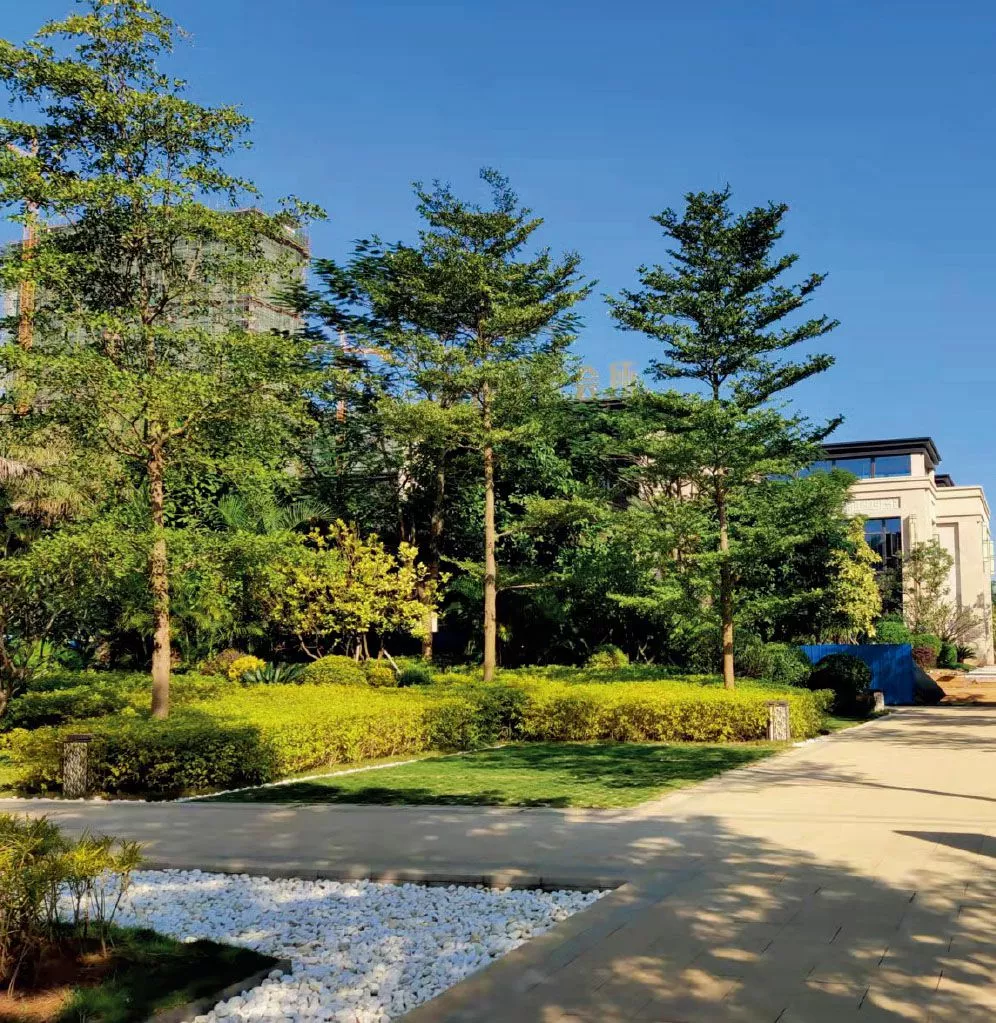 北海信息港01地塊示範區紅線外園林景觀、小市政工程