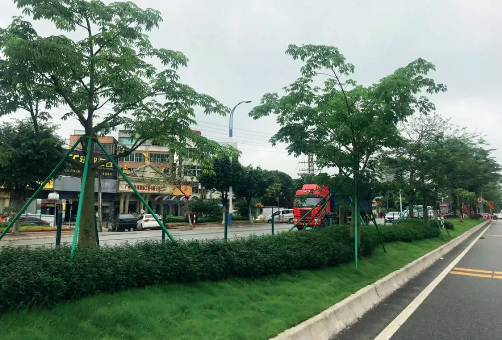 105國(guó)道(石壁段)綠化升級(jí)改造項目