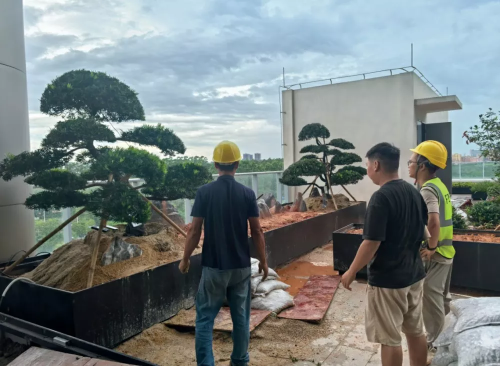 東莞彙樂技術研發中心園林景觀項目