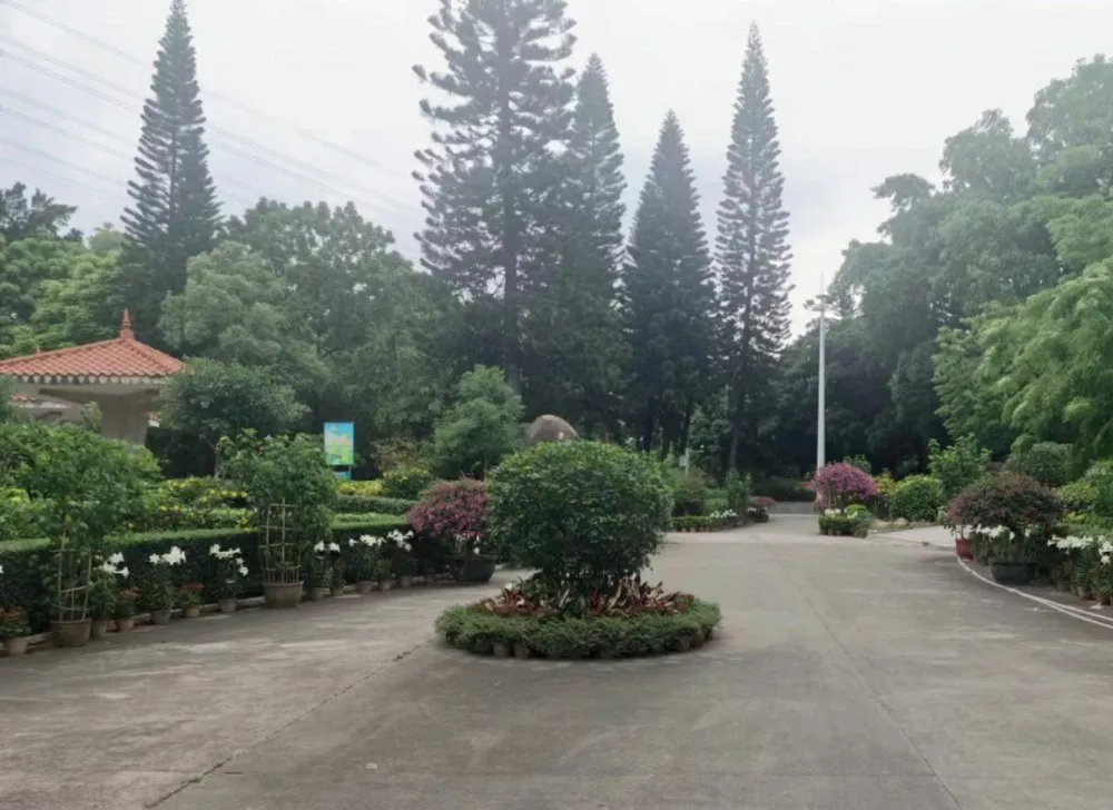 傍西村公園村内綠化養護項目
