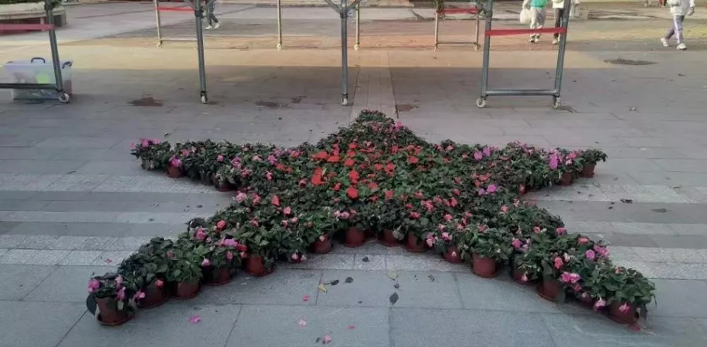 亞運城小學綠化養護項目