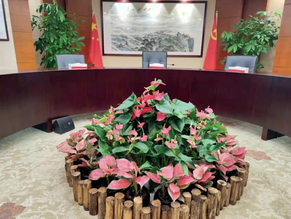 廣發銀行股份有限公司室内綠化植物租擺服務項目