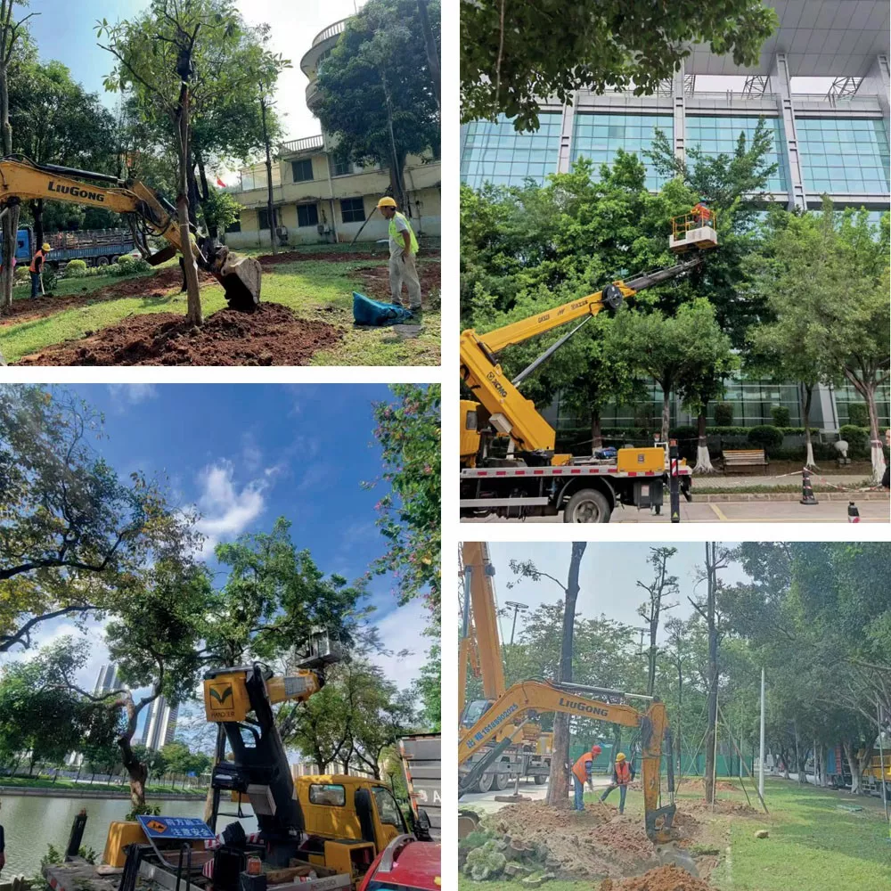 廣東省黃村體育訓練中心