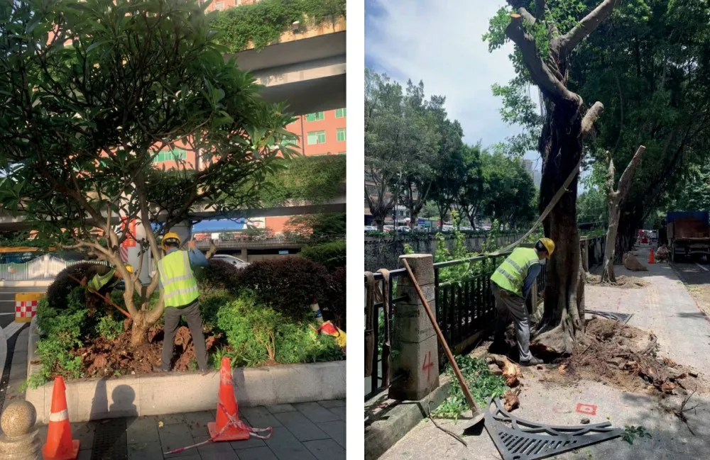 廣東省黃村體育訓練中心